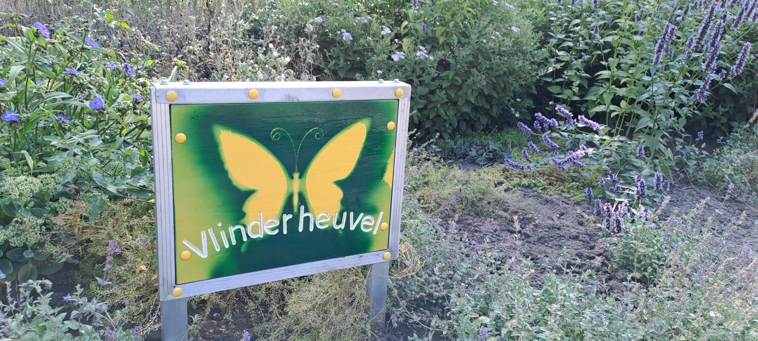 Samen voor de vlinderheuvel